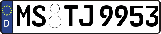 MS-TJ9953