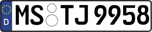 MS-TJ9958