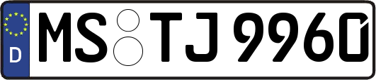 MS-TJ9960