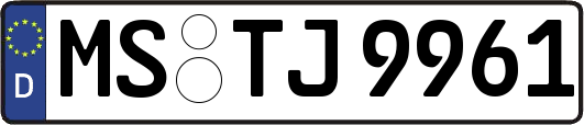 MS-TJ9961