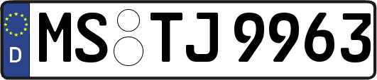 MS-TJ9963