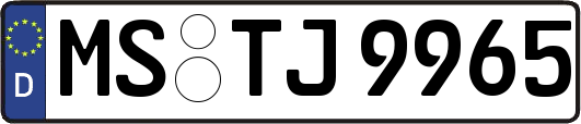MS-TJ9965