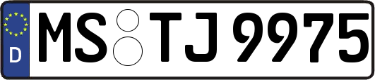 MS-TJ9975