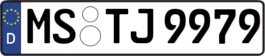 MS-TJ9979