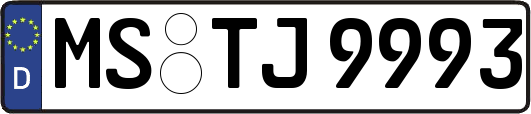 MS-TJ9993