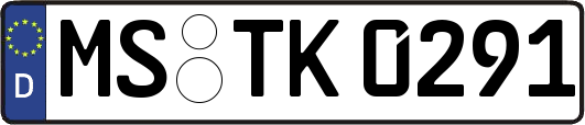 MS-TK0291