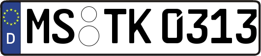 MS-TK0313