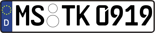 MS-TK0919