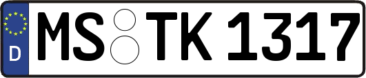 MS-TK1317