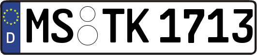 MS-TK1713