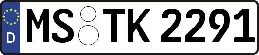 MS-TK2291