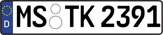 MS-TK2391