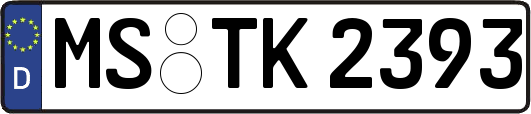 MS-TK2393