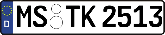 MS-TK2513