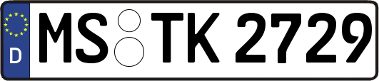 MS-TK2729