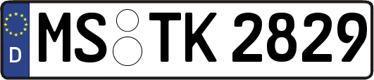 MS-TK2829