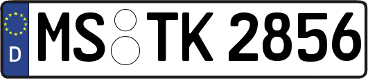 MS-TK2856