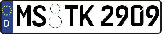 MS-TK2909