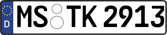 MS-TK2913