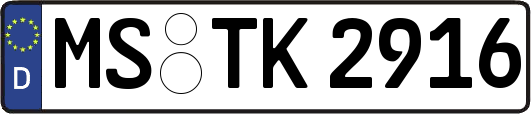 MS-TK2916