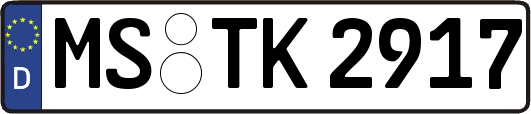 MS-TK2917