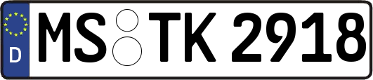 MS-TK2918