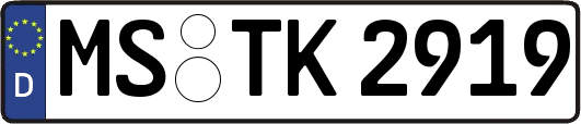 MS-TK2919