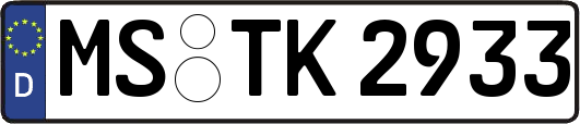 MS-TK2933