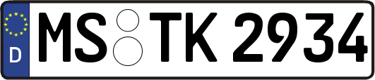 MS-TK2934