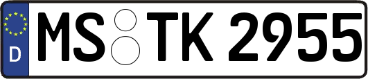 MS-TK2955