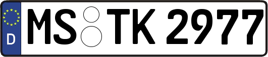 MS-TK2977