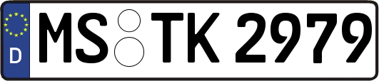 MS-TK2979