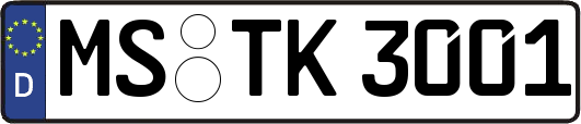 MS-TK3001