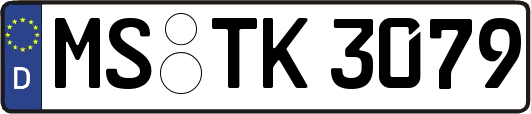 MS-TK3079