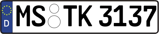 MS-TK3137