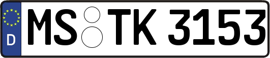 MS-TK3153