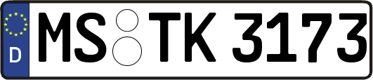 MS-TK3173