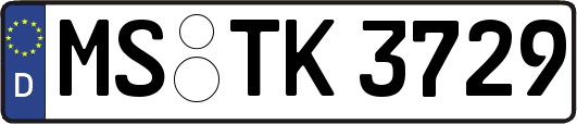MS-TK3729