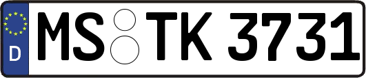 MS-TK3731