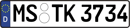 MS-TK3734