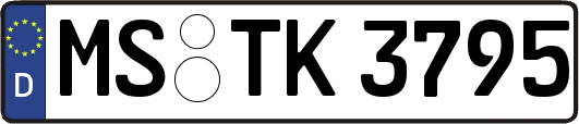 MS-TK3795