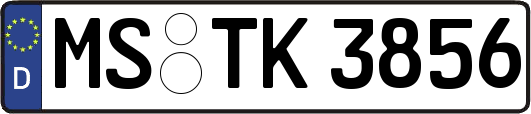 MS-TK3856