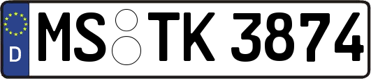 MS-TK3874