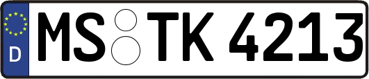 MS-TK4213