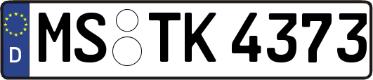 MS-TK4373