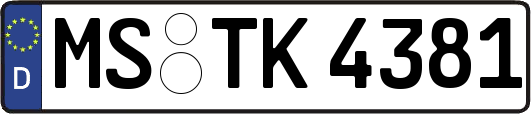 MS-TK4381