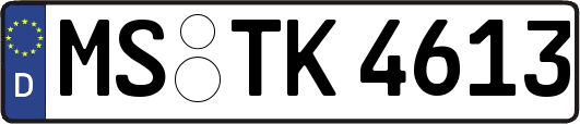 MS-TK4613