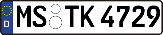 MS-TK4729
