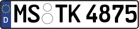 MS-TK4875