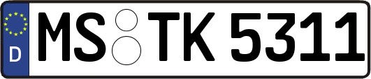MS-TK5311